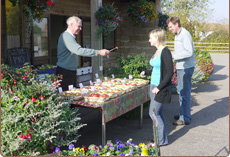 Farm Shop Sittingbourne Kent