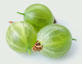 Gooseberries