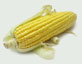 Sweetcorn